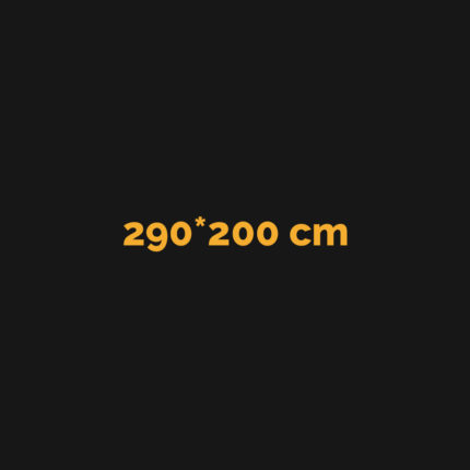 290*200