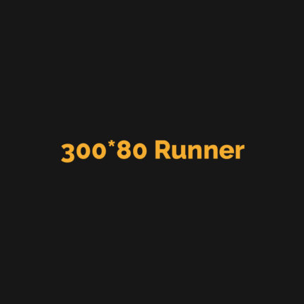 300*80N
